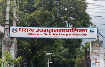 डेंगु नियन्त्रणका लागि धरान उपमहानगरका सबै विद्यालय बन्द